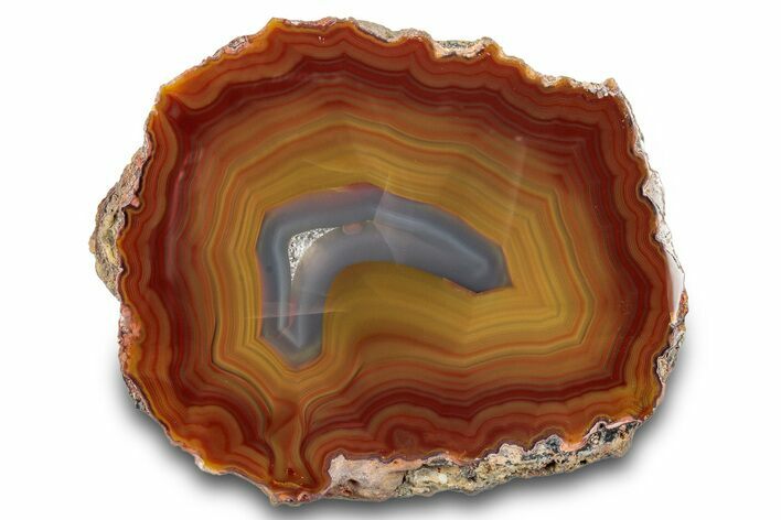 Colorful, Polished Condor Agate - Argentina #277708